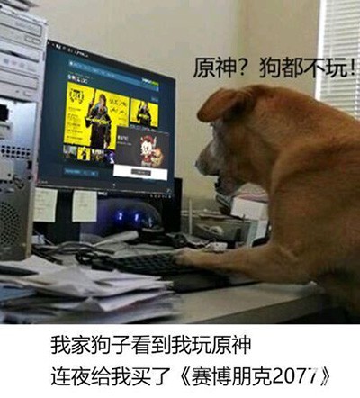 原神狗都不玩是什么梗图片1